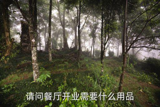 餐飲小店需要準(zhǔn)備什么設(shè)備,開小店需要準(zhǔn)備什么?...